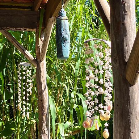 Hoeve La Cascina 데인제 외부 사진