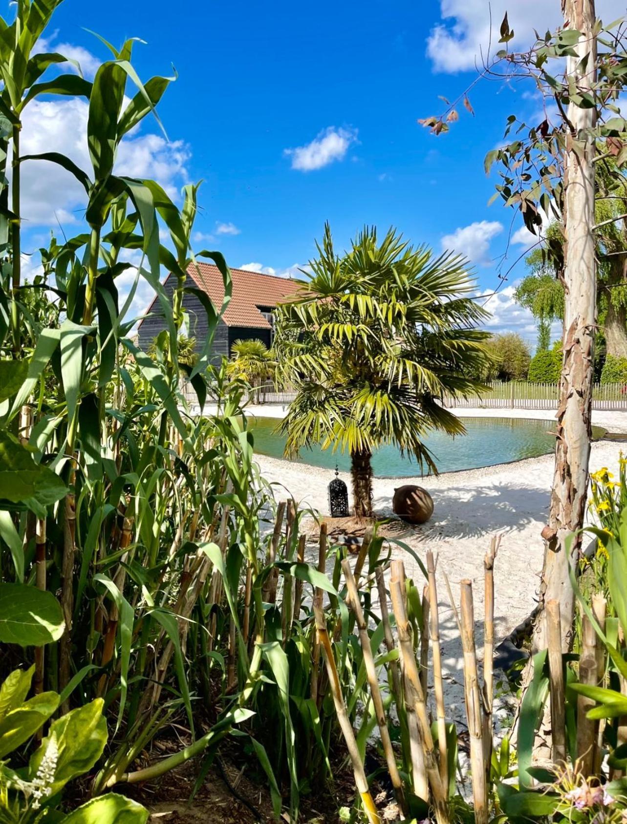Hoeve La Cascina 데인제 외부 사진